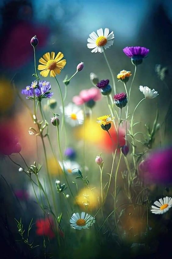 Cabinet Hypnose & Psychothérapie Brève